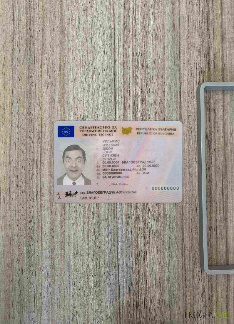 Permis de conduire bulgare (2010 – présent) photolook AVANT